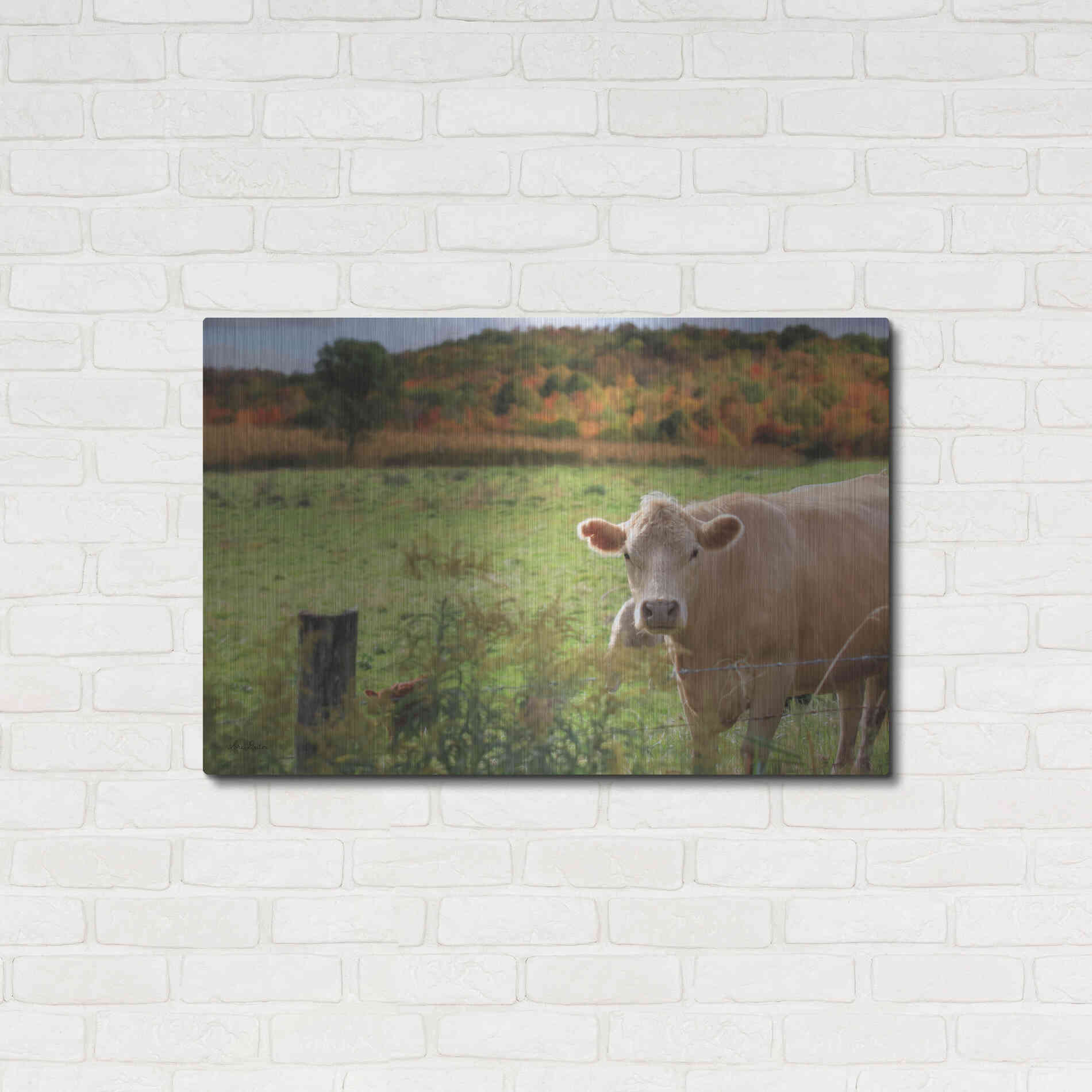 Luxe Metal Art 'Fall Cow' by Lori Deiter Metal Wall Art,36x24