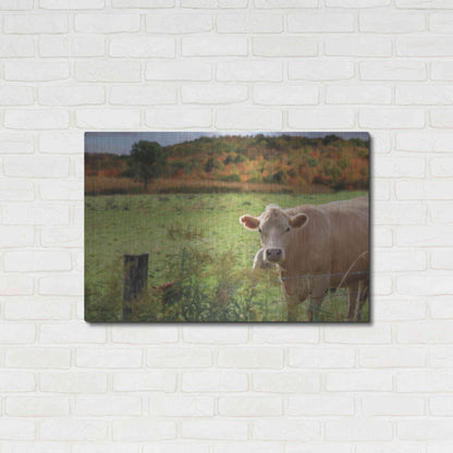 Luxe Metal Art 'Fall Cow' by Lori Deiter Metal Wall Art,36x24