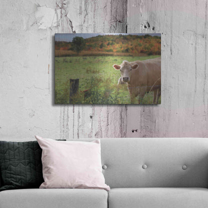 Luxe Metal Art 'Fall Cow' by Lori Deiter Metal Wall Art,36x24