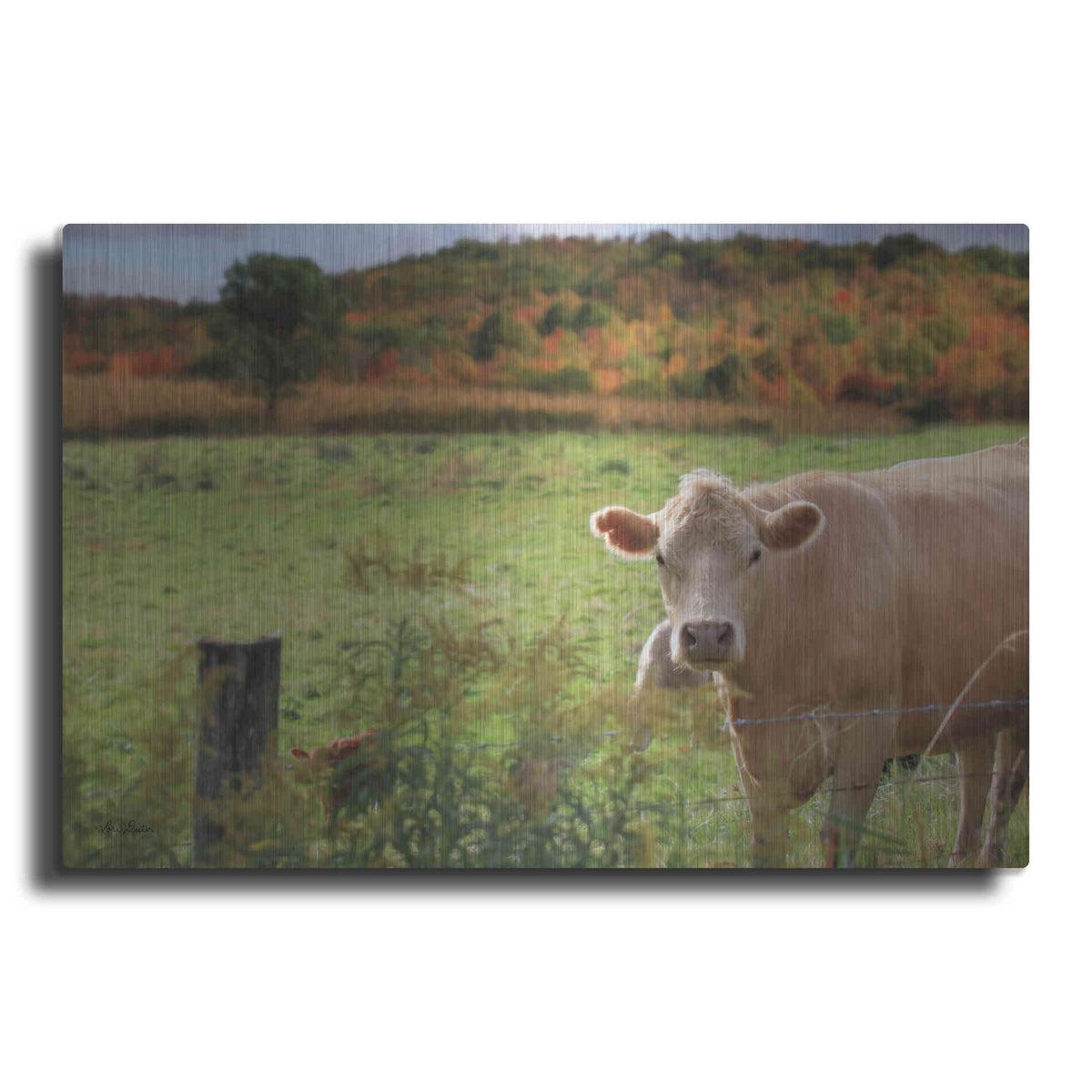 Luxe Metal Art 'Fall Cow' by Lori Deiter Metal Wall Art