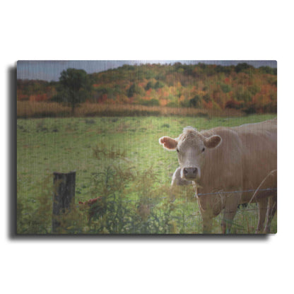 Luxe Metal Art 'Fall Cow' by Lori Deiter Metal Wall Art