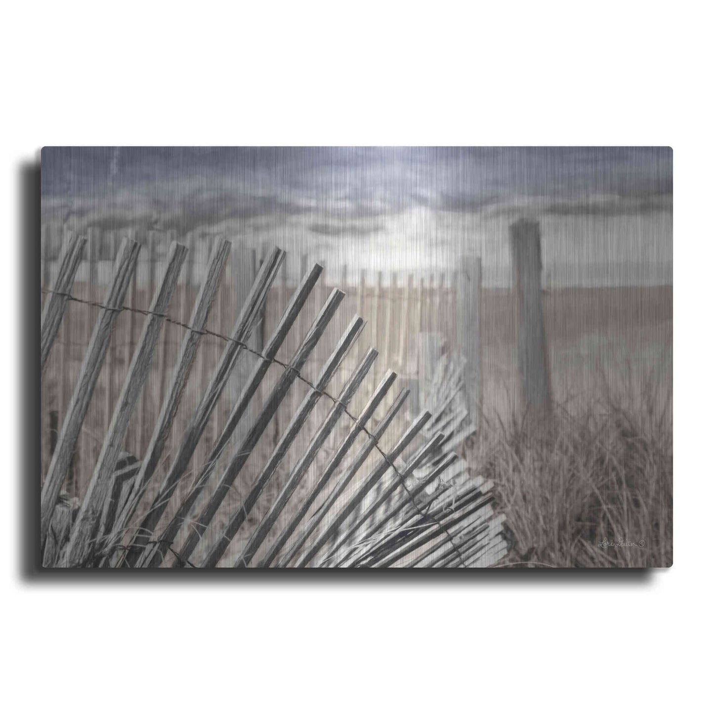 Luxe Metal Art 'On the Coastline' by Lori Deiter Metal Wall Art