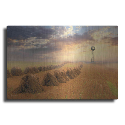 Luxe Metal Art 'Amish Country Sunrise' by Lori Deiter Metal Wall Art