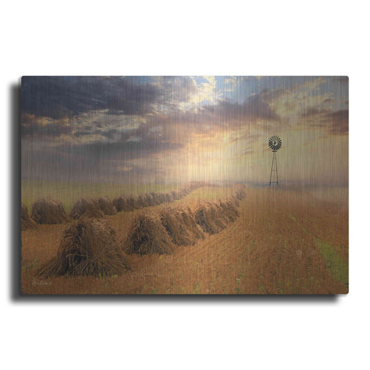 Luxe Metal Art 'Amish Country Sunrise' by Lori Deiter Metal Wall Art