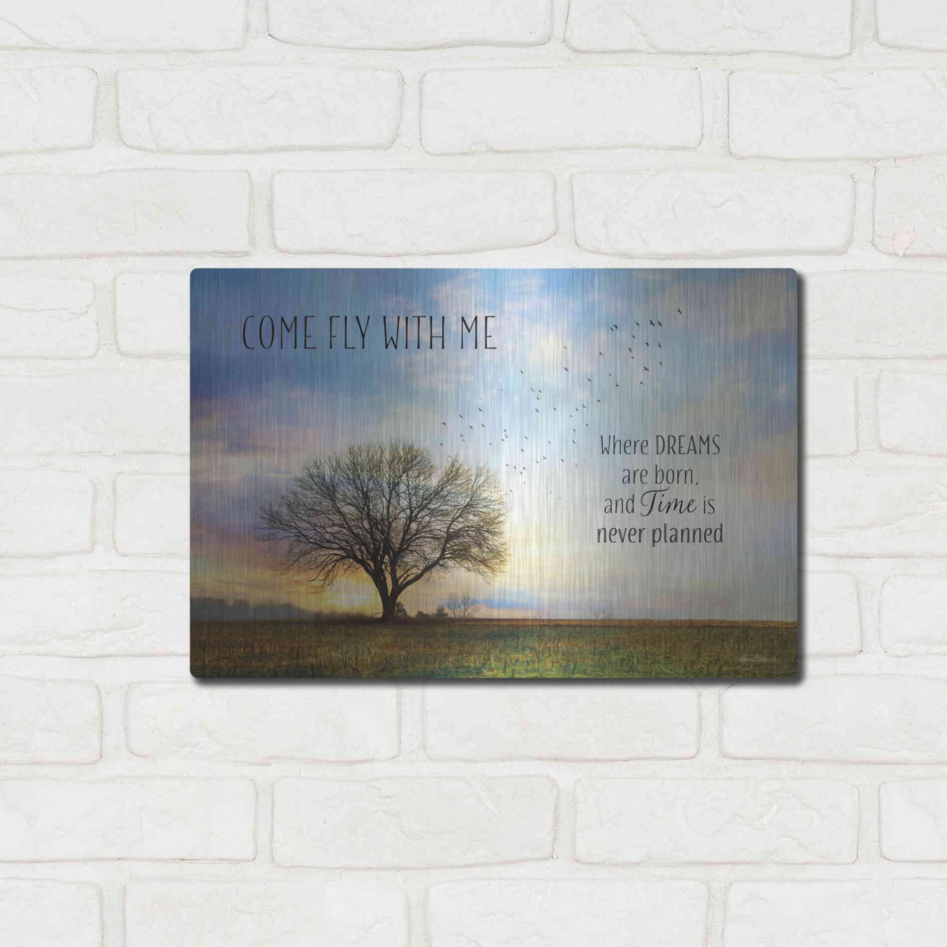 Luxe Metal Art 'Come Fly with Me' by Lori Deiter Metal Wall Art,16x12