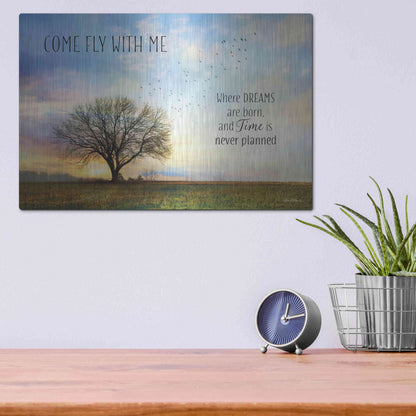 Luxe Metal Art 'Come Fly with Me' by Lori Deiter Metal Wall Art,16x12