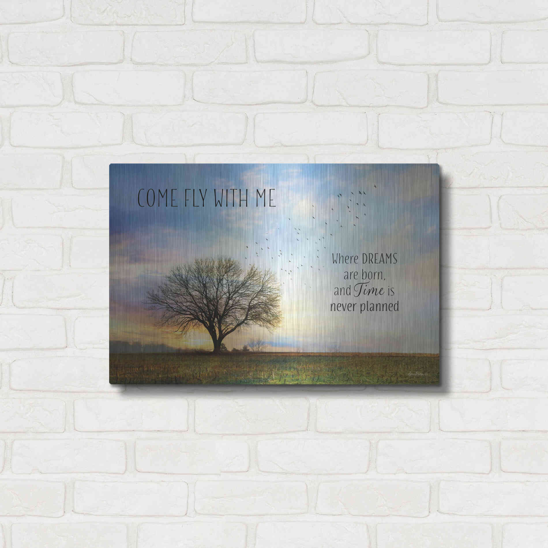 Luxe Metal Art 'Come Fly with Me' by Lori Deiter Metal Wall Art,24x16