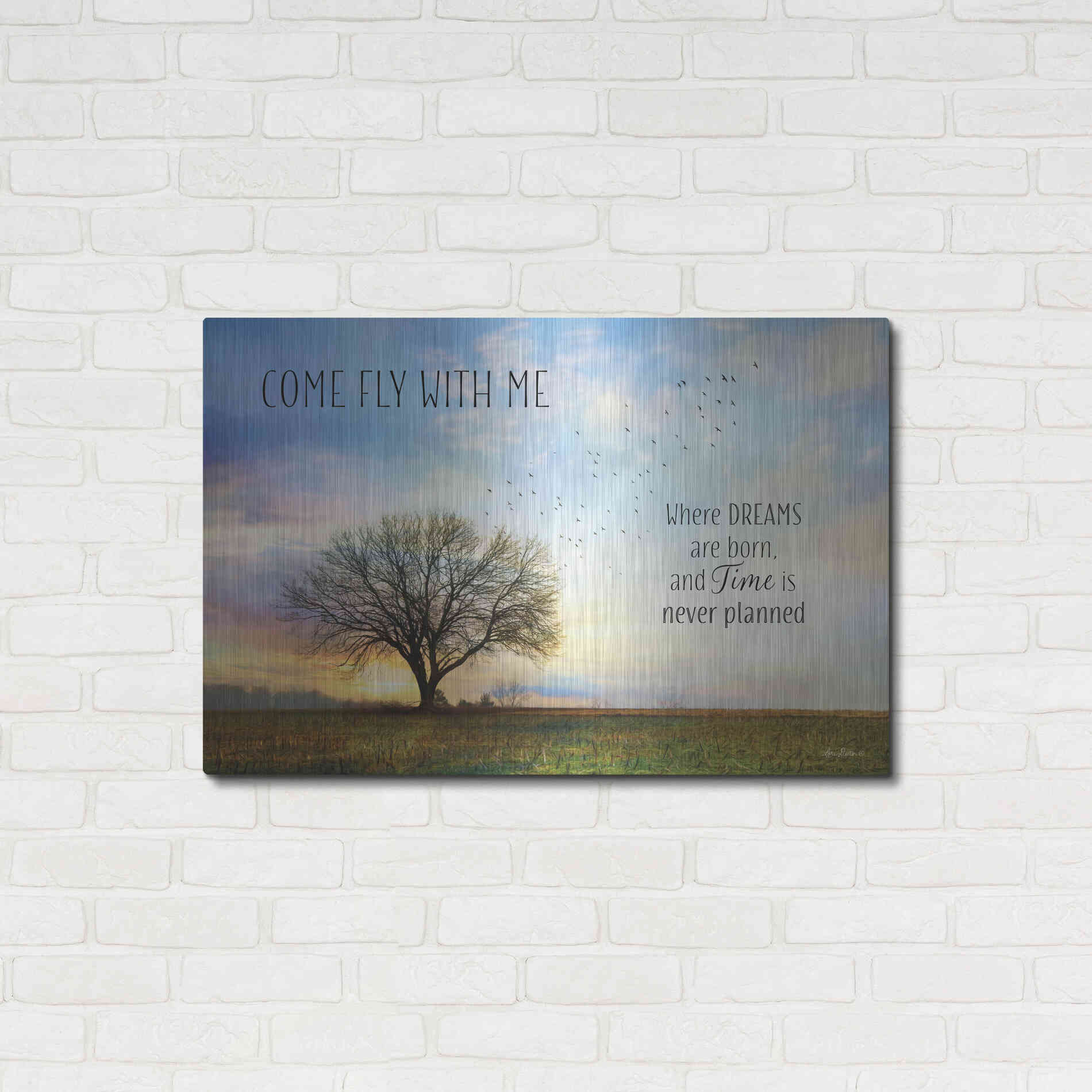 Luxe Metal Art 'Come Fly with Me' by Lori Deiter Metal Wall Art,36x24