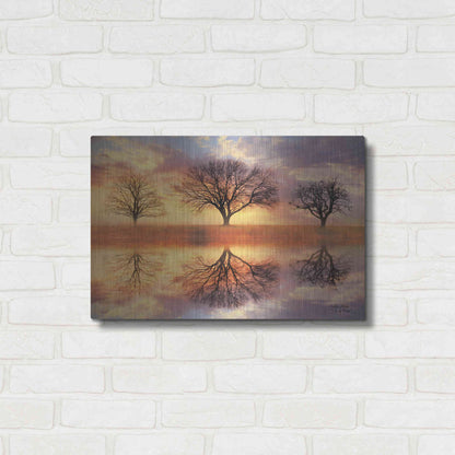 Luxe Metal Art 'Trio of Trees' by Lori Deiter Metal Wall Art,24x16