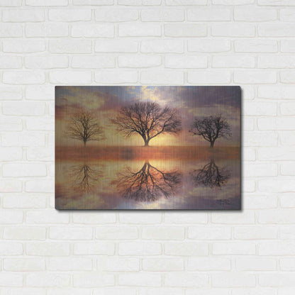 Luxe Metal Art 'Trio of Trees' by Lori Deiter Metal Wall Art,36x24