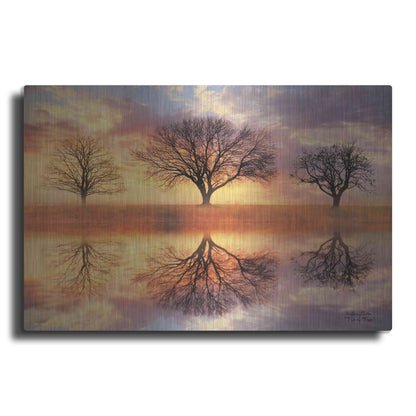 Luxe Metal Art 'Trio of Trees' by Lori Deiter Metal Wall Art