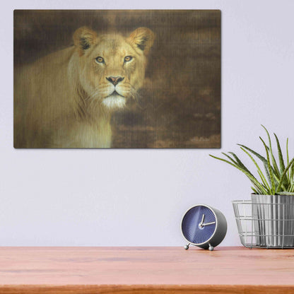 Luxe Metal Art 'Tribal Lioness' by Lori Deiter Metal Wall Art,16x12