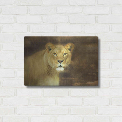 Luxe Metal Art 'Tribal Lioness' by Lori Deiter Metal Wall Art,24x16