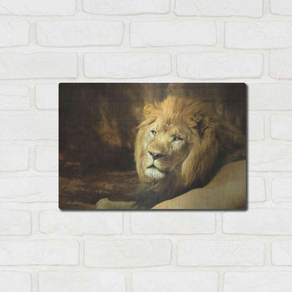Luxe Metal Art 'Tribal Lion' by Lori Deiter Metal Wall Art,16x12