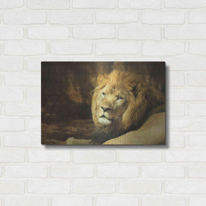 Luxe Metal Art 'Tribal Lion' by Lori Deiter Metal Wall Art,24x16