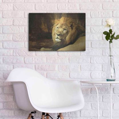 Luxe Metal Art 'Tribal Lion' by Lori Deiter Metal Wall Art,24x16