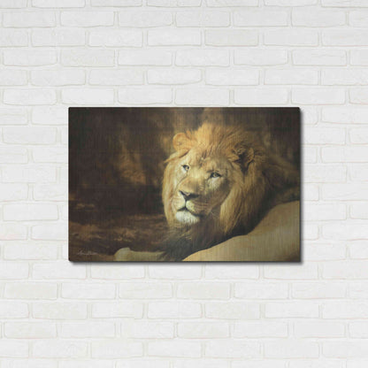 Luxe Metal Art 'Tribal Lion' by Lori Deiter Metal Wall Art,36x24