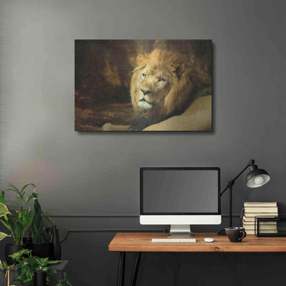 Luxe Metal Art 'Tribal Lion' by Lori Deiter Metal Wall Art,36x24