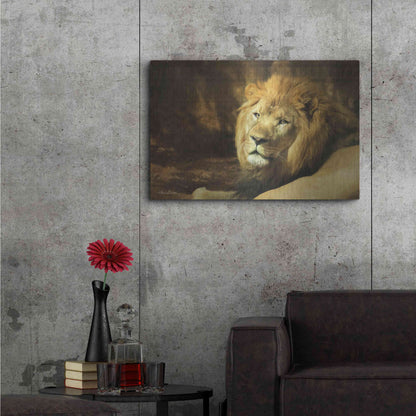 Luxe Metal Art 'Tribal Lion' by Lori Deiter Metal Wall Art,36x24