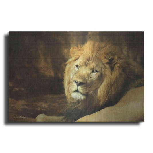 Luxe Metal Art 'Tribal Lion' by Lori Deiter Metal Wall Art