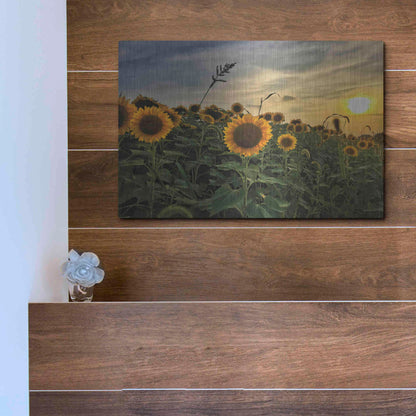 Luxe Metal Art 'Midwest Livin' I' by Donnie Quillen Metal Wall Art,16x12