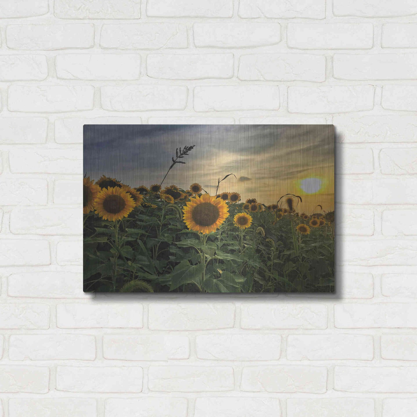 Luxe Metal Art 'Midwest Livin' I' by Donnie Quillen Metal Wall Art,24x16