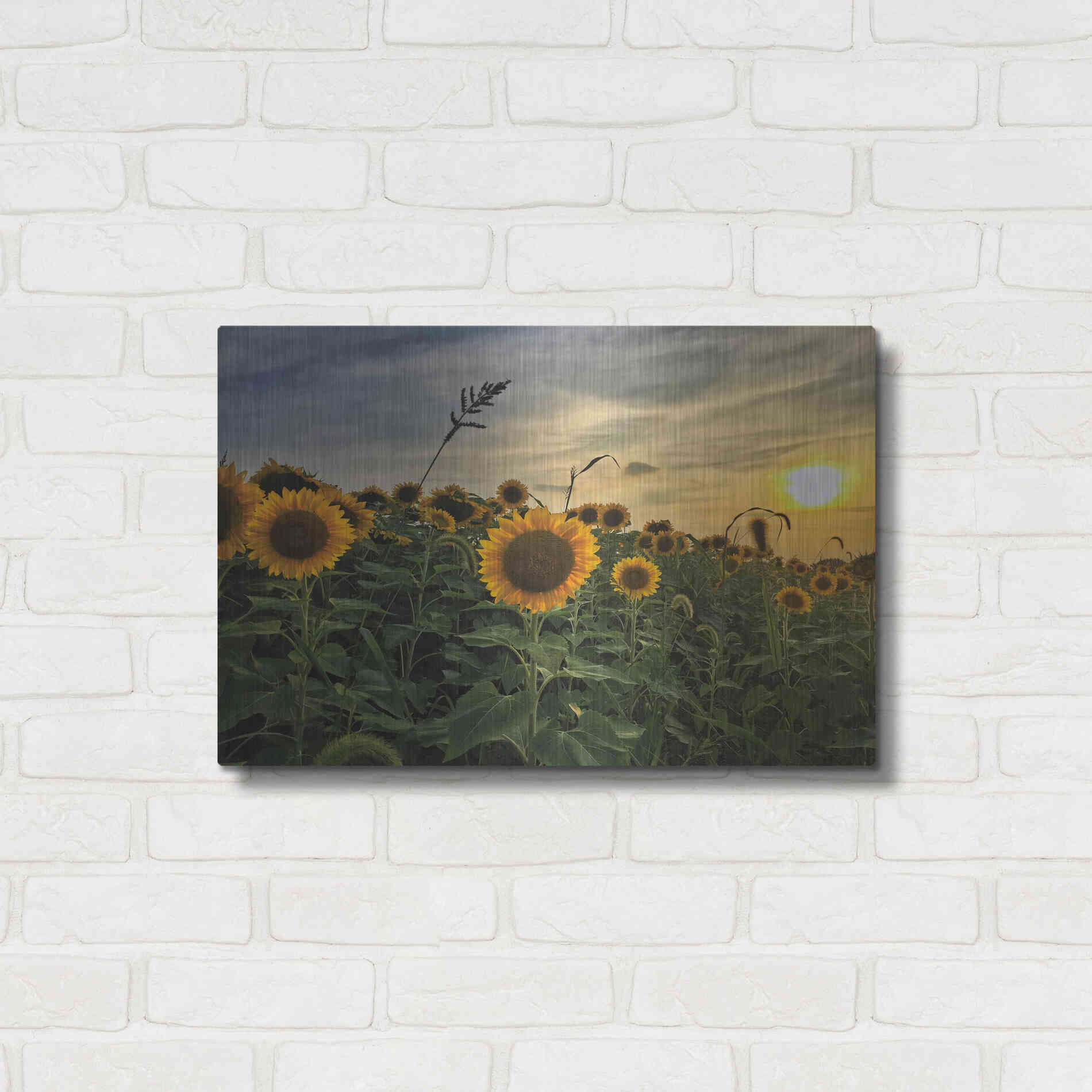 Luxe Metal Art 'Midwest Livin' I' by Donnie Quillen Metal Wall Art,24x16