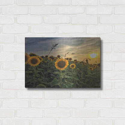 Luxe Metal Art 'Midwest Livin' I' by Donnie Quillen Metal Wall Art,24x16