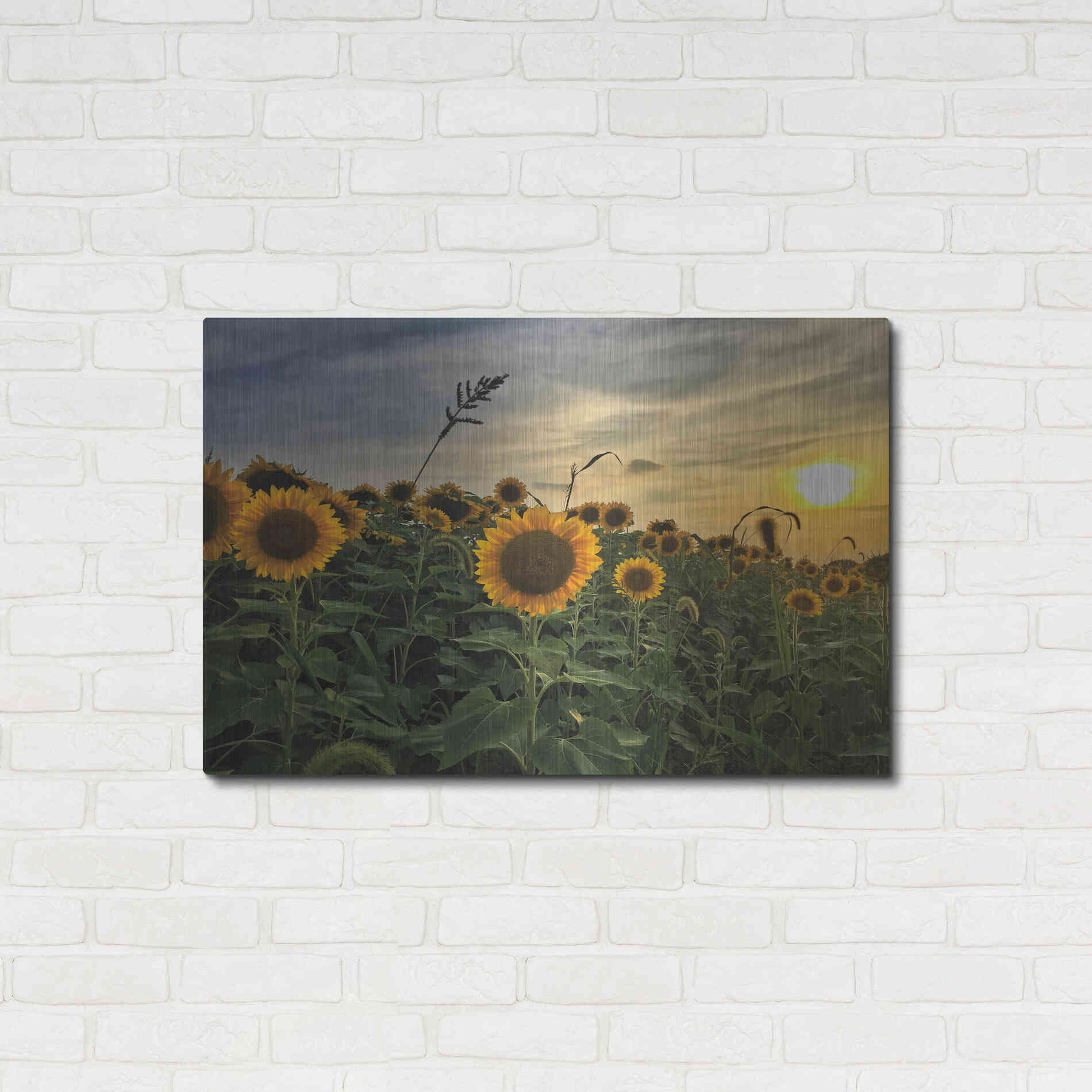 Luxe Metal Art 'Midwest Livin' I' by Donnie Quillen Metal Wall Art,36x24