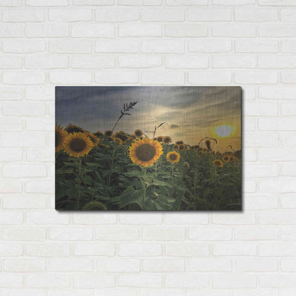 Luxe Metal Art 'Midwest Livin' I' by Donnie Quillen Metal Wall Art,36x24