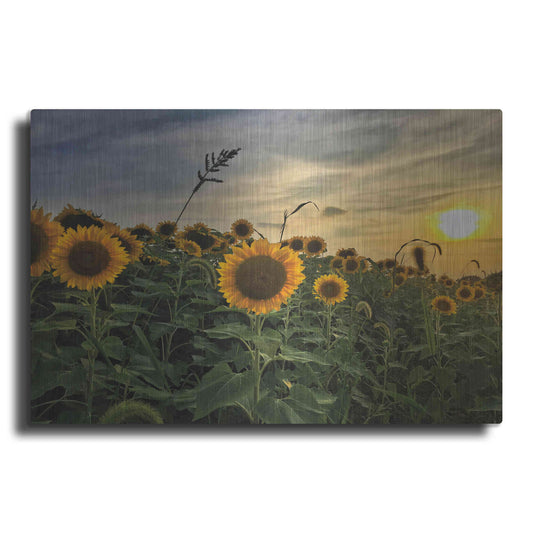 Luxe Metal Art 'Midwest Livin' I' by Donnie Quillen Metal Wall Art