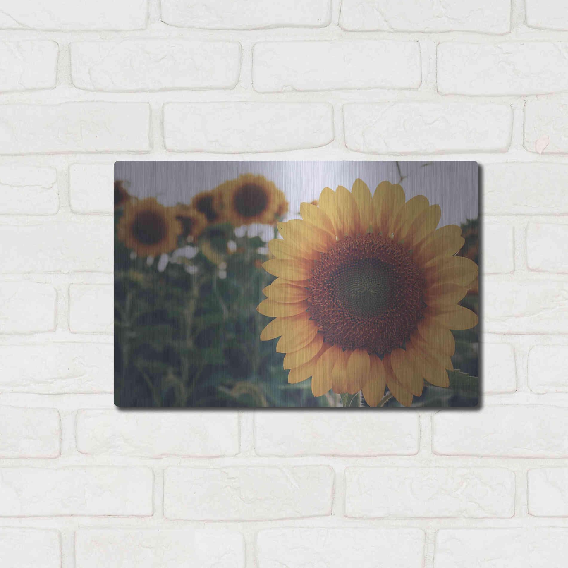 Luxe Metal Art 'Midwest Livin' II' by Donnie Quillen Metal Wall Art,16x12