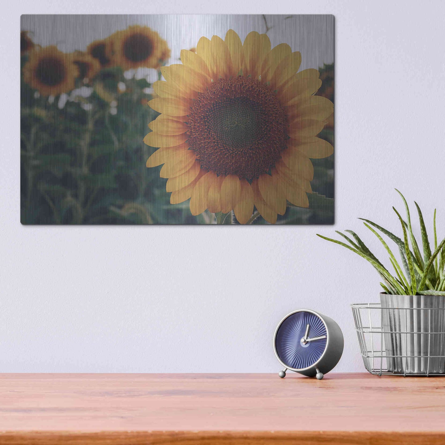 Luxe Metal Art 'Midwest Livin' II' by Donnie Quillen Metal Wall Art,16x12