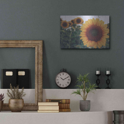 Luxe Metal Art 'Midwest Livin' II' by Donnie Quillen Metal Wall Art,16x12