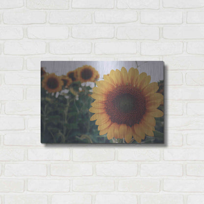 Luxe Metal Art 'Midwest Livin' II' by Donnie Quillen Metal Wall Art,24x16