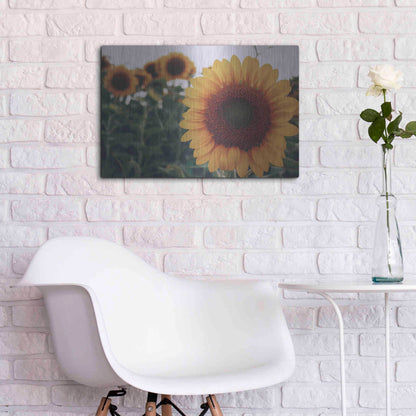 Luxe Metal Art 'Midwest Livin' II' by Donnie Quillen Metal Wall Art,24x16