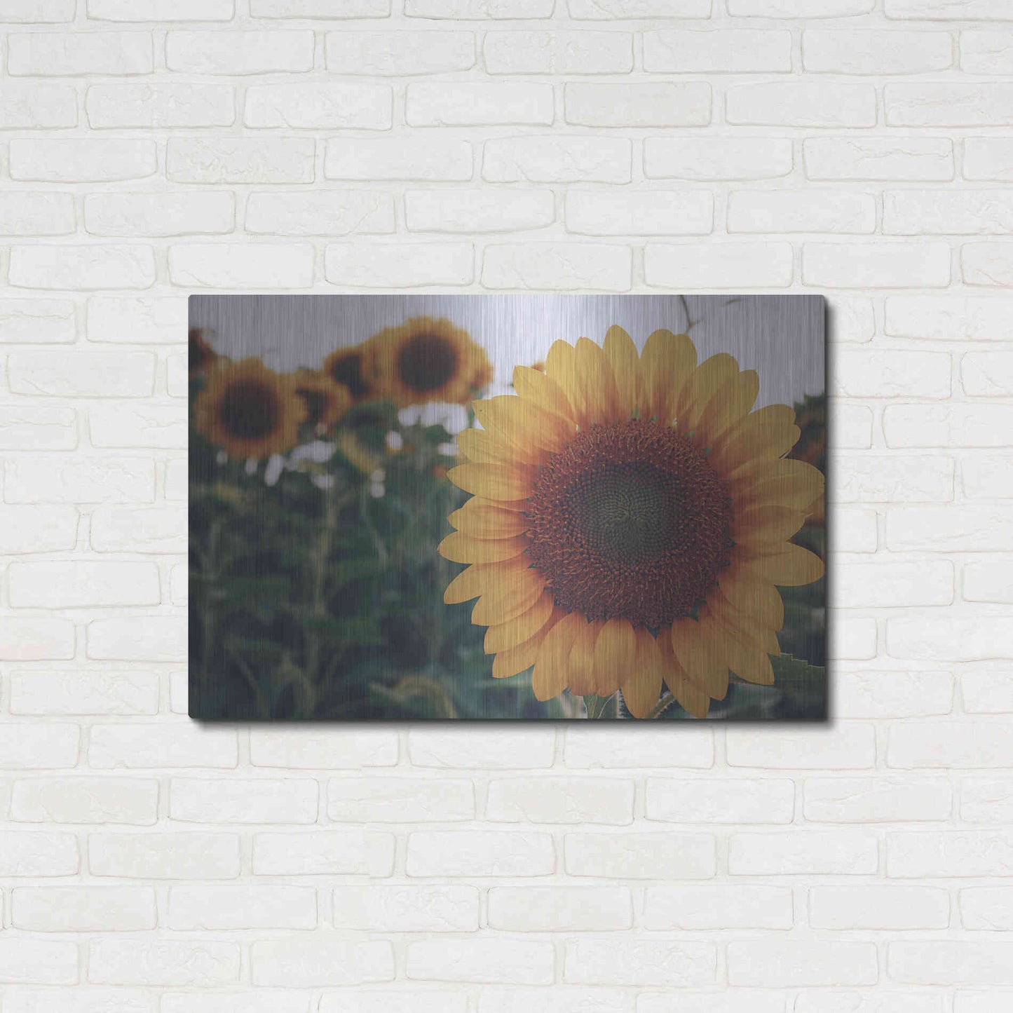 Luxe Metal Art 'Midwest Livin' II' by Donnie Quillen Metal Wall Art,36x24