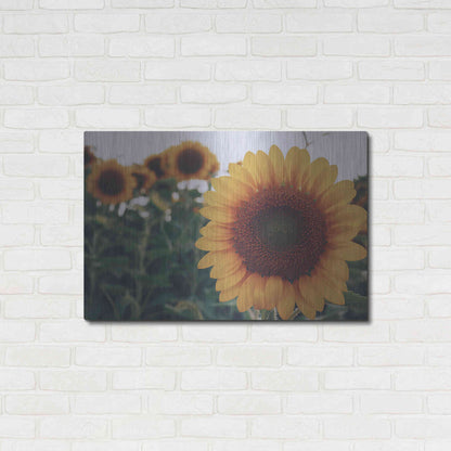 Luxe Metal Art 'Midwest Livin' II' by Donnie Quillen Metal Wall Art,36x24