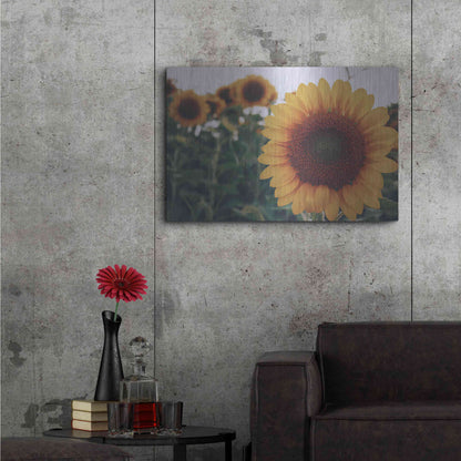 Luxe Metal Art 'Midwest Livin' II' by Donnie Quillen Metal Wall Art,36x24