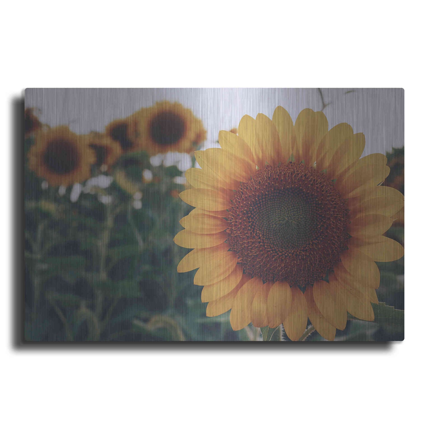 Luxe Metal Art 'Midwest Livin' II' by Donnie Quillen Metal Wall Art