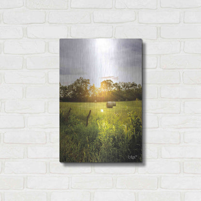 Luxe Metal Art 'Daybreak in the Country I' by Donnie Quillen Metal Wall Art,16x24