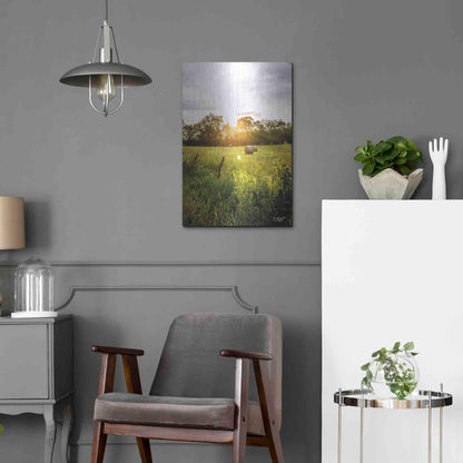 Luxe Metal Art 'Daybreak in the Country I' by Donnie Quillen Metal Wall Art,16x24