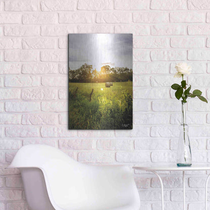 Luxe Metal Art 'Daybreak in the Country I' by Donnie Quillen Metal Wall Art,16x24