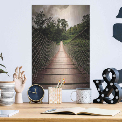 Luxe Metal Art 'Wilderness Walkway' by Donnie Quillen Metal Wall Art,12x16