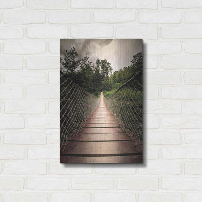 Luxe Metal Art 'Wilderness Walkway' by Donnie Quillen Metal Wall Art,16x24