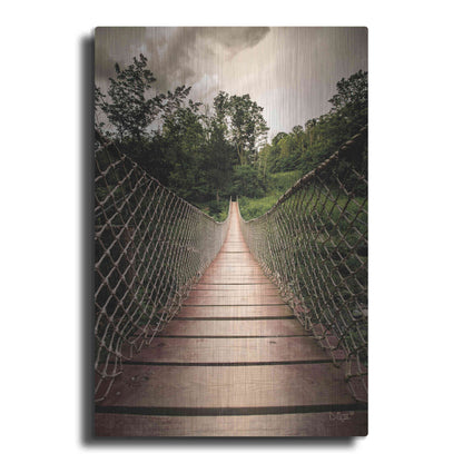 Luxe Metal Art 'Wilderness Walkway' by Donnie Quillen Metal Wall Art