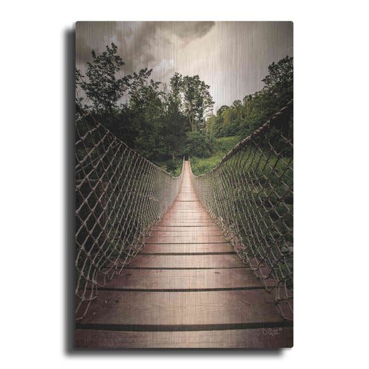 Luxe Metal Art 'Wilderness Walkway' by Donnie Quillen Metal Wall Art