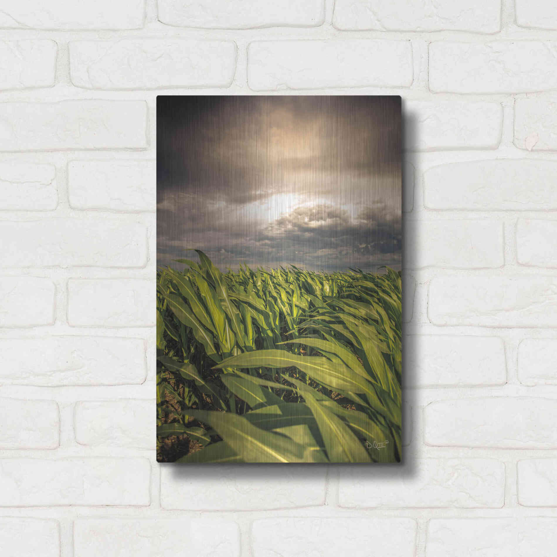 Luxe Metal Art 'Field of Corn' by Donnie Quillen Metal Wall Art,12x16