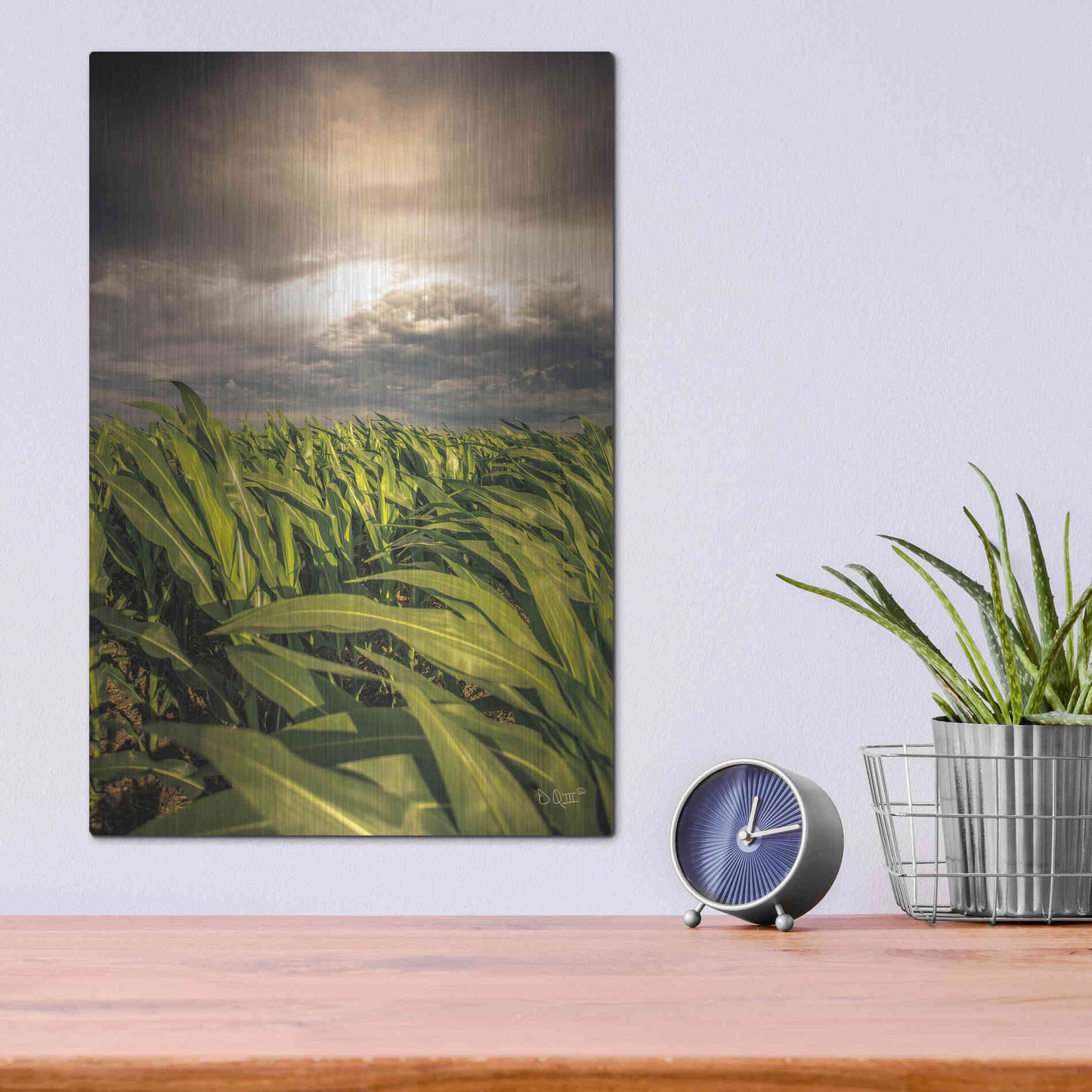 Luxe Metal Art 'Field of Corn' by Donnie Quillen Metal Wall Art,12x16