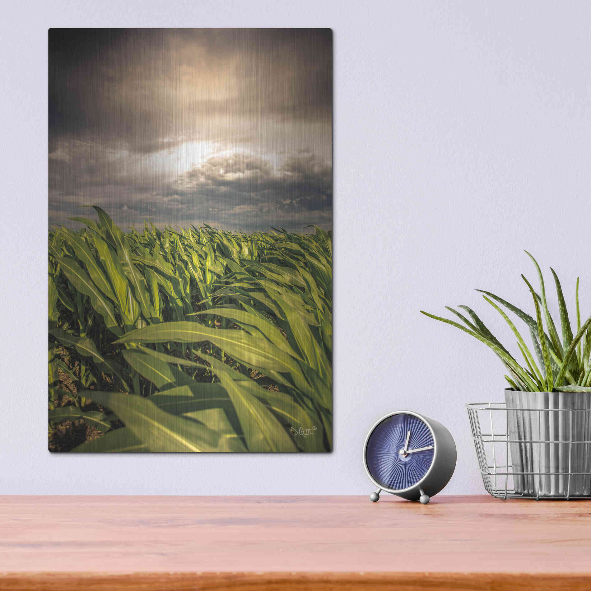 Luxe Metal Art 'Field of Corn' by Donnie Quillen Metal Wall Art,12x16